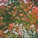 哈哈哈