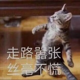 七哥