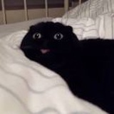 香瓜