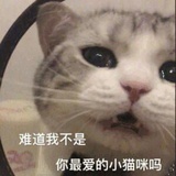 弗洛伊德