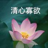 隰有荷华