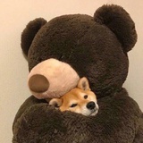 比卡丘的爪子