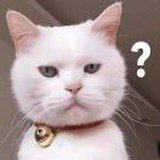 陈扣儿扣儿。
