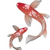 aligaduo