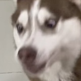 豆友187314297