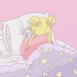 樽樽的寄几💫