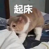 缓缓