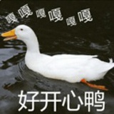 爱烁烁子