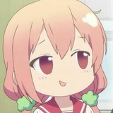 洛少琛