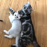 冷眼相待