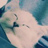 Eterna_ZYF