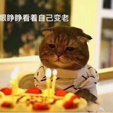 王可爱