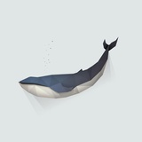 橡胶兔
