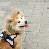 多情又冷酷