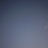 空中飞舞的鱼