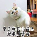 脆皮鸭文学的yoo