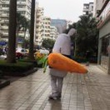 时毛