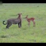 可光前