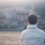 放飞一只知更鸟