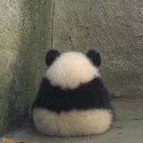 名字叫无语