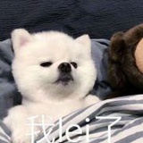 我最红