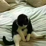 努力。