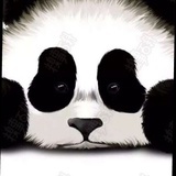 路人乙