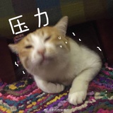 路易路易