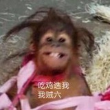 未名杰睿
