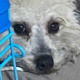 哗啦啦啦