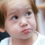 似是故人归