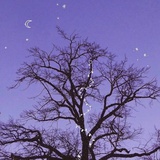 月亮不睡🌙