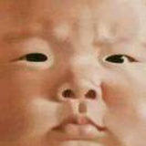 国家一级打退堂