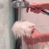 奶茶不加糖