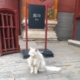 蚊子请别再爱我