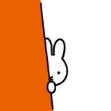吃瓜新手