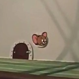 有之游游游