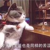 哎