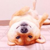 糯米团子