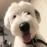 Snoopy Baby