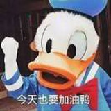 一只小阿姨
