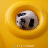 豆友188027440