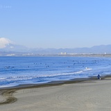 又又又木