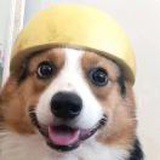 噗宝