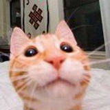 yaya乐