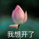 豆友188072370