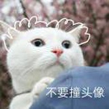 岁平