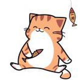 一斤猫