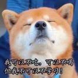 小也超勤快