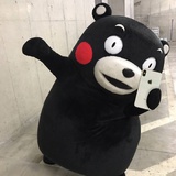 熊本本